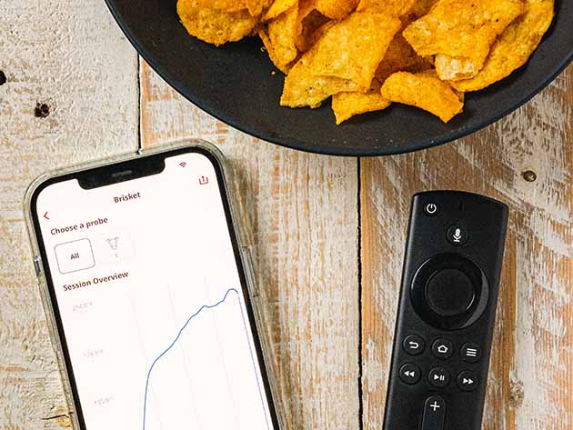 GrillEye® Max Smart Wi-Fi Enabled Wired Instant-Read Thermometer