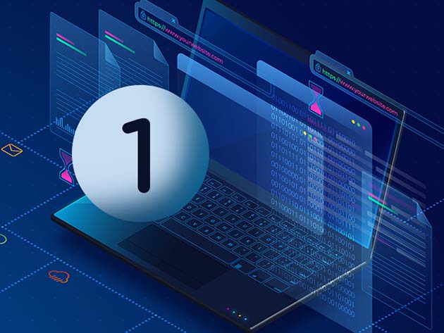 Certified in Risk & Information Systems Control, Part 1